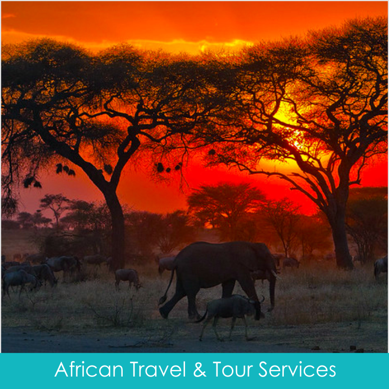 Afrokulcha Group Travel Services...